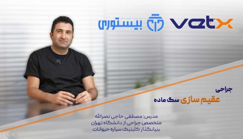 آگهی استخدام دوره تخصصی جراحی عقیم‌سازی سگ ماده – تجربه VIP در نامشخص از شرکت 