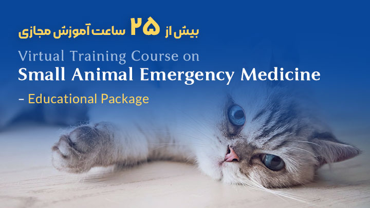 آگهی استخدام طب اورژانس در حیوانات کوچک در نامشخص از شرکت 
