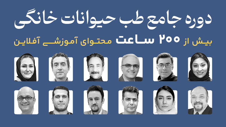 آگهی استخدام دوره جامع طب حیوانات خانگی در نامشخص از شرکت 
