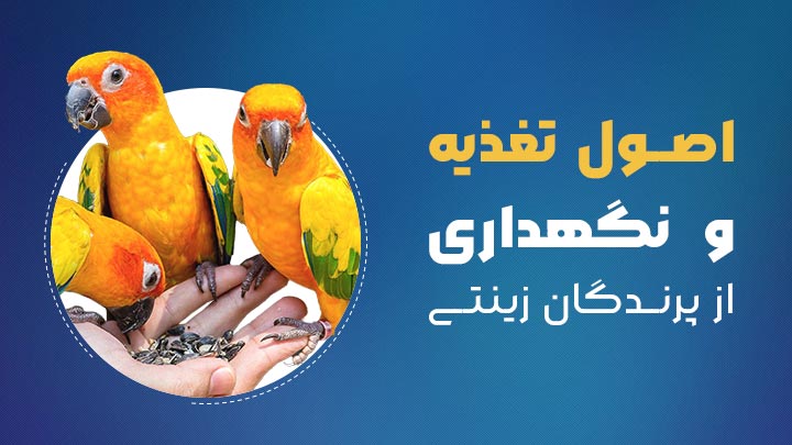 آگهی استخدام اصول تغذیه و نگهداری از پرندگان زینتی در نامشخص از شرکت 