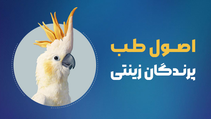 آگهی استخدام اصول طب پرندگان زینتی در نامشخص از شرکت 