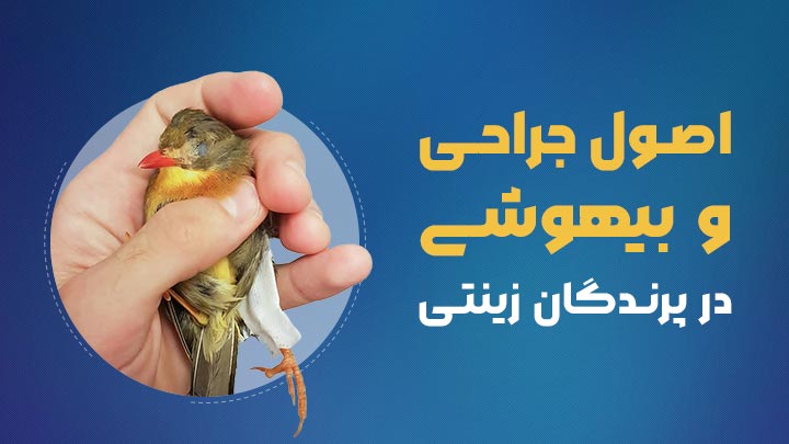 آگهی استخدام آشنایی با اصول بیهوشی و جراحی در پرندگان زینتی در نامشخص از شرکت 