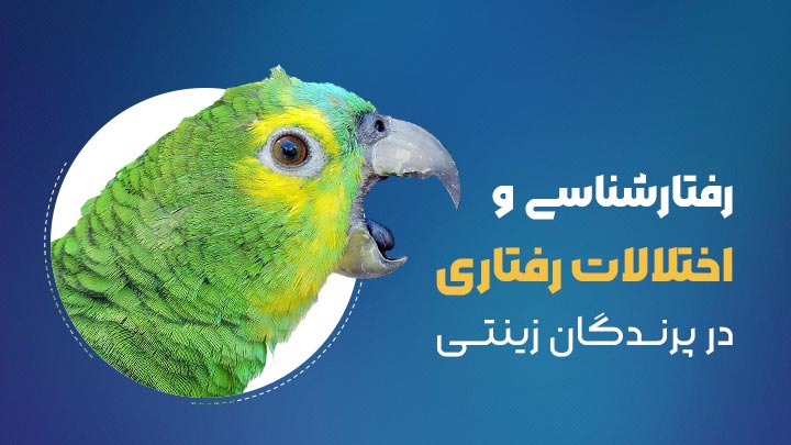 آگهی استخدام رفتارشناسی و اختلالات رفتاری در پرندگان زینتی در نامشخص از شرکت 