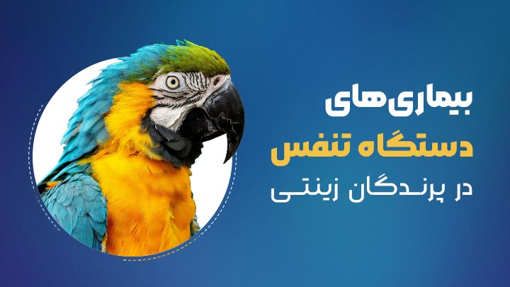 آگهی استخدام بیماری‌های شایع دستگاه تنفس در پرندگان زینتی در نامشخص از شرکت 