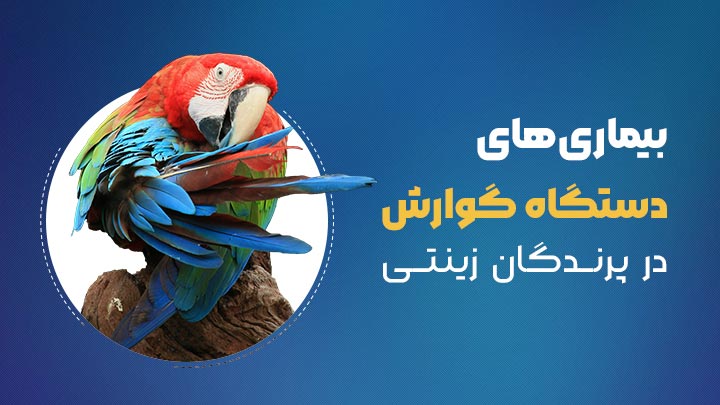 آگهی استخدام بیماری‌های شایع دستگاه گوارش در پرندگان زینتی در نامشخص از شرکت 