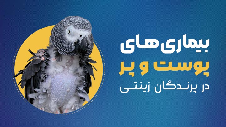 آگهی استخدام بیماری‌های شایع پوست و پر در پرندگان زینتی در نامشخص از شرکت 