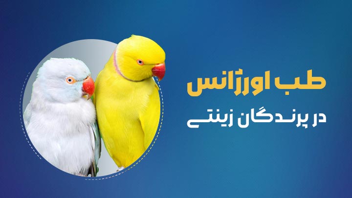 آگهی استخدام طب اورژانس و مدیریت تروما در پرندگان زینتی در نامشخص از شرکت 