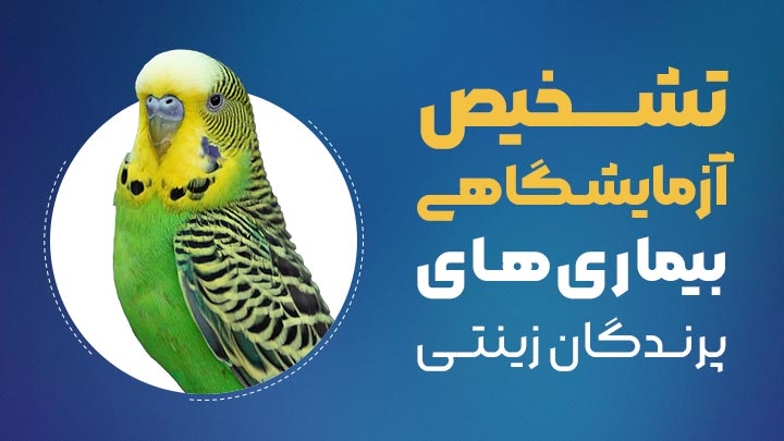 آگهی استخدام آزمون‌های تشخیصی مهم و کاربردی در پرندگان زینتی در نامشخص از شرکت 
