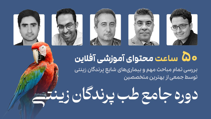 آگهی استخدام دوره جامع طب پرندگان زینتی در نامشخص از شرکت 