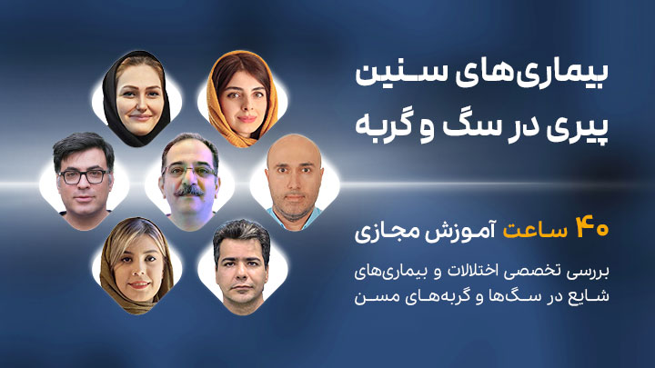 آگهی استخدام دوره جامع بیماری‌های سنین پیری در سگ و گربه در نامشخص از شرکت 