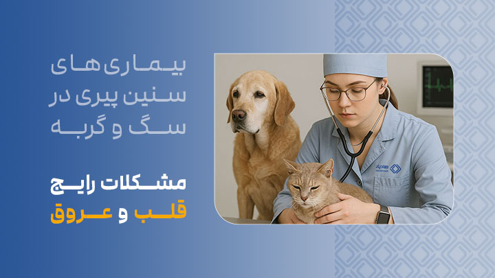 آگهی استخدام مشکلات رایج قلب و عروق در سگ‌ها و گربه‌های مسن در نامشخص از شرکت 