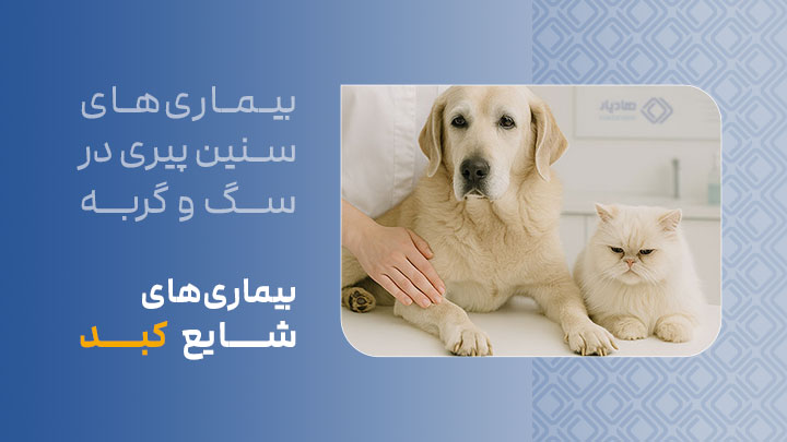 آگهی استخدام بیماری‌های شایع کبد در سگ‌ها و گربه‌های مسن در نامشخص از شرکت 
