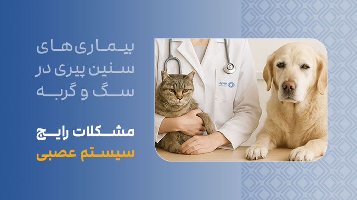 آگهی استخدام مشکلات رایج سیستم عصبی در سگ‌ها و گربه‌های مسن در نامشخص از شرکت 