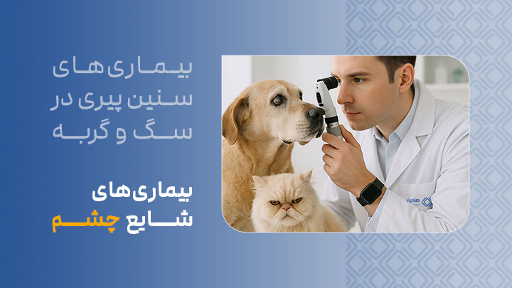 آگهی استخدام بیماری‌های شایع چشم در سگ‌ها و گربه‌های مسن در نامشخص از شرکت 