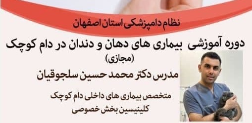 آگهی استخدام برگزاری دوره آموزشی بیماری های دهان و دندان در دام کوچک  (مجازی) در نامشخص از شرکت 
